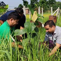 Tree planting event